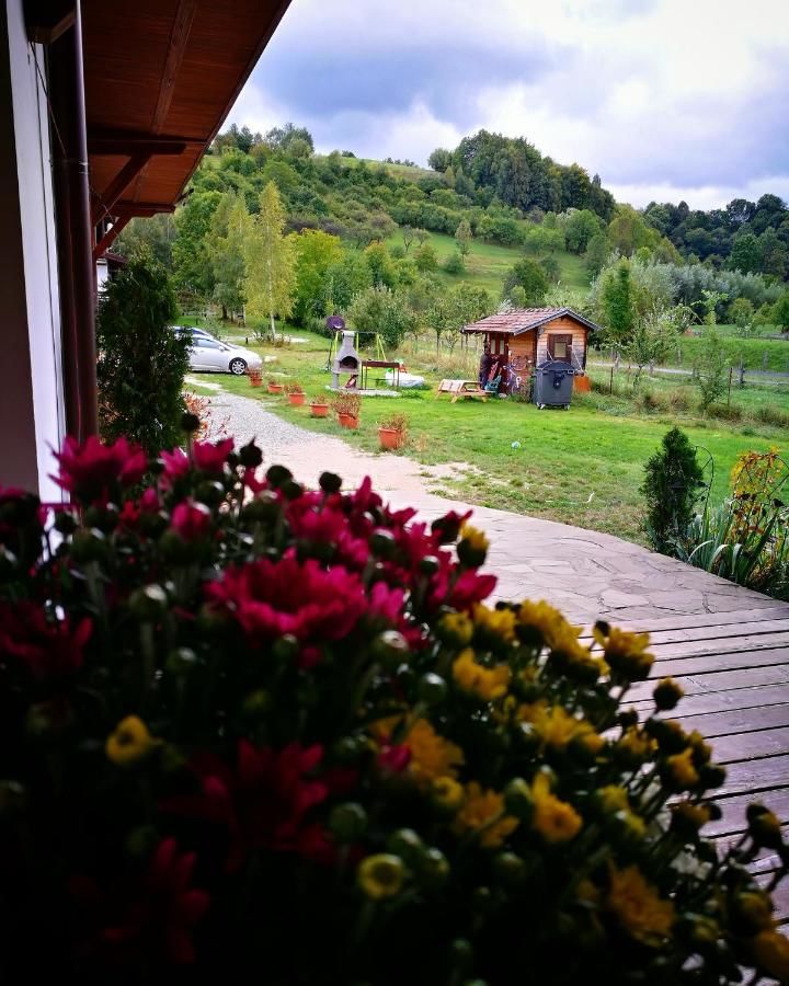 Гостевой дом Pensiunea Casa Tolstoi Бран-19